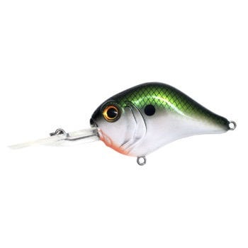 Bill Lewis MR-6 Crankbait Citrus Shad