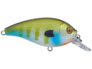 Rapala Topwater Fishing Baits, Lures for sale, Shop with Afterpay